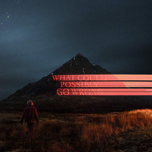 What Could Possibly Go Wrong - DOMINIC FIKE [VINYL]