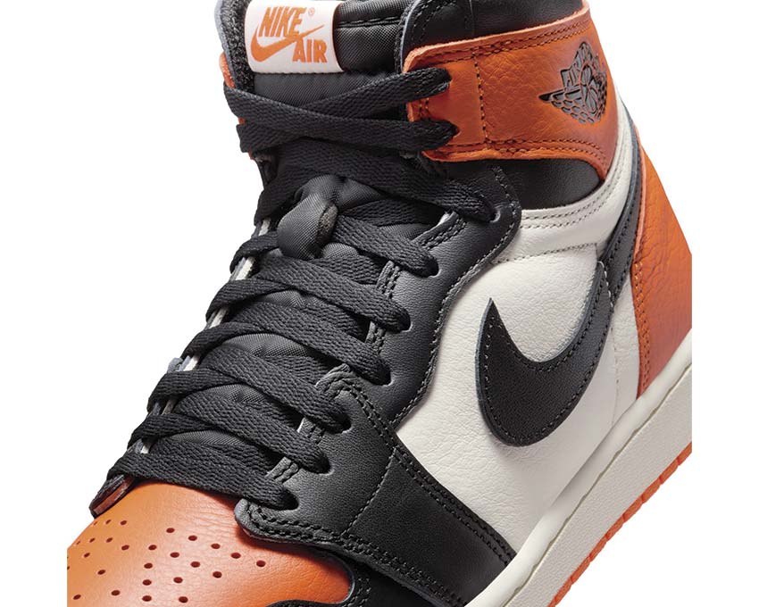Air Jordan 1 Retro High OG "Shattered Backboard"
