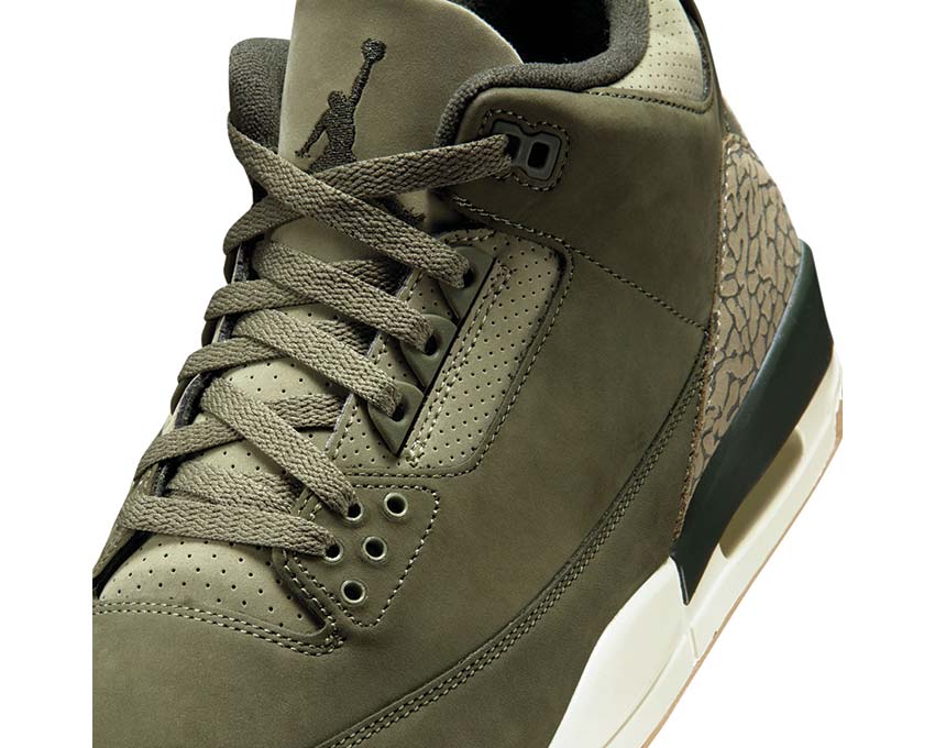 Air Jordan 3 Retro "Family Affair"