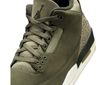 Air Jordan 3 Retro "Family Affair"