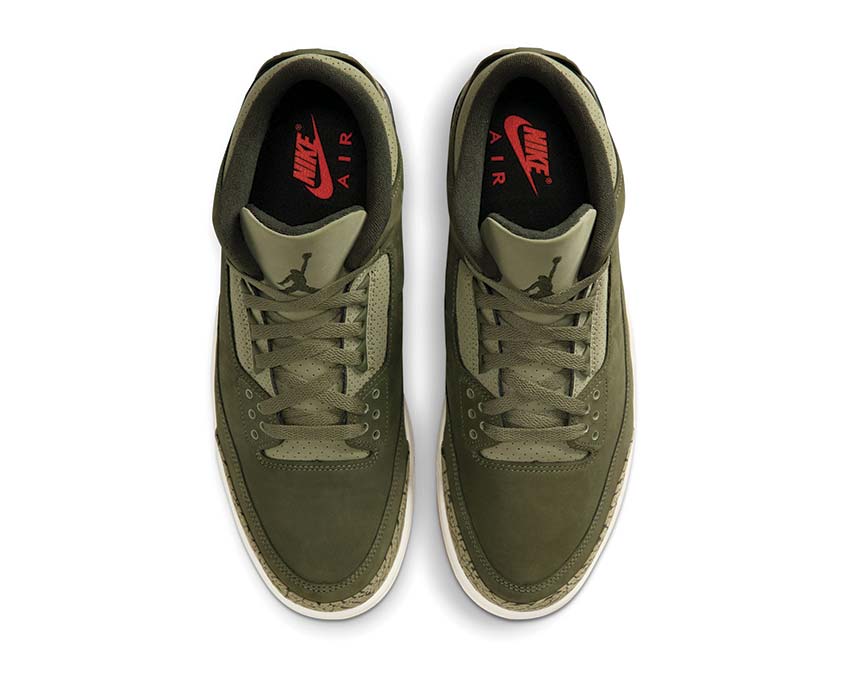 Air Jordan 3 Retro "Family Affair"
