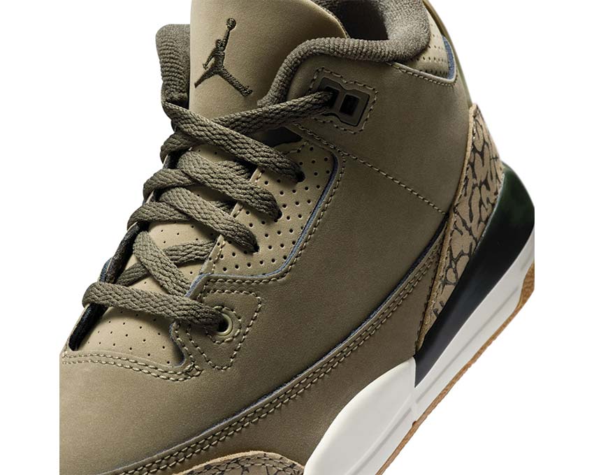 Air Jordan 3 Retro PS "Family Affair"