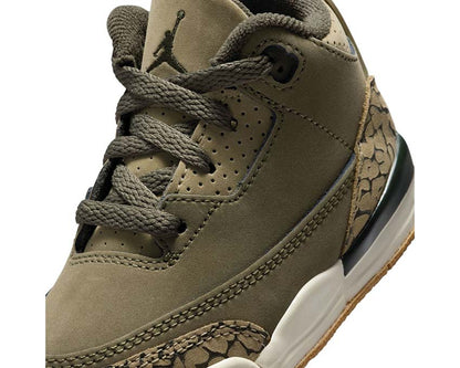 Air Jordan 3 Retro TD "Family Affair"