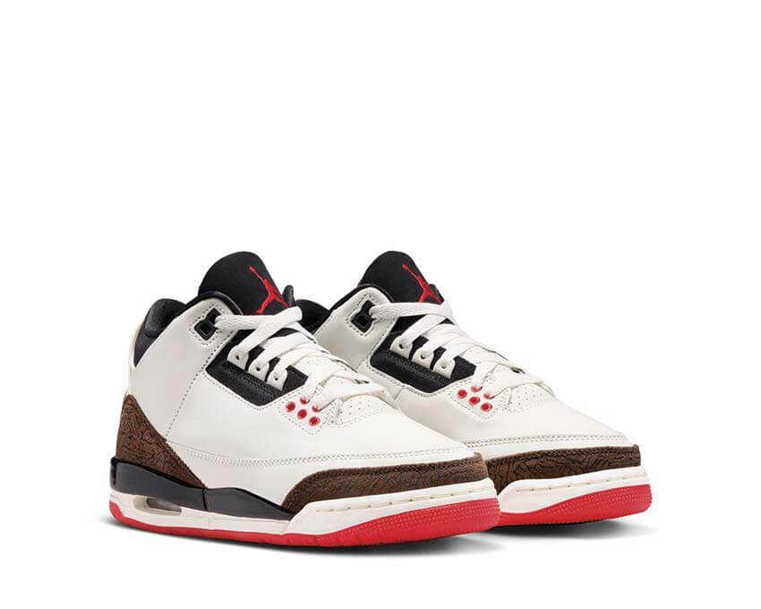 Air Jordan 3 Retro GS "World's Best"