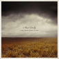 I See Three Birds Flying - Adrian Crowley [VINYL]