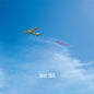 Negativity - Deer Tick [VINYL]