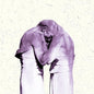 Familiars - The Antlers [VINYL]