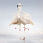 Green Language - Rustie [VINYL]