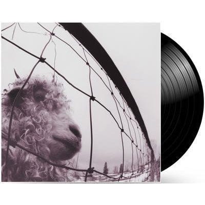 VS. - Pearl Jam [VINYL]