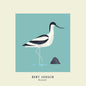 Avocet - Bert Jansch [VINYL Limited Edition]