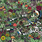 Whatever Forever:   - Oozing Wound [VINYL]