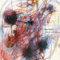 Slow Vessels:   - Ian William Craig [VINYL]