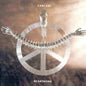 Heartwork - Carcass [VINYL]