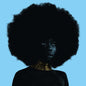 Sink:   - Sudan Archives [VINYL]