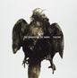 Pigeons:   - The Hundred in the Hands [VINYL]