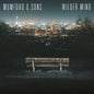Wilder Mind - Mumford & Sons [VINYL]