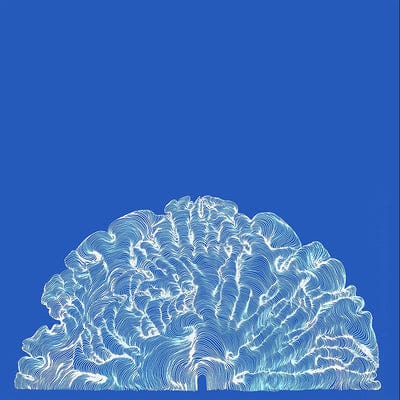 Yes! Come Parade With Us:   - Leafcutter John [VINYL]