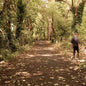 How to Disappear - Paddy Mulcahy [VINYL]