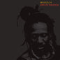 African Paradigm - Mr Raoul K [VINYL]