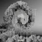 Shortly After Takeoff:   - BC Camplight [VINYL]