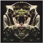 The Courage of Others - Green Vinyl (LRS20):   - Midlake [VINYL Limited Edition]