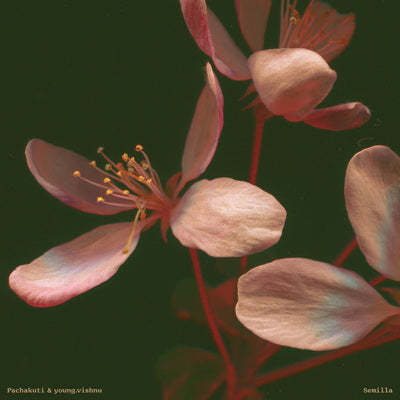 Semilla:   - Pachakuti & young.vishnu [VINYL]