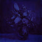 Lithium Zion:   - Deaf Wish [VINYL Limited Edition]