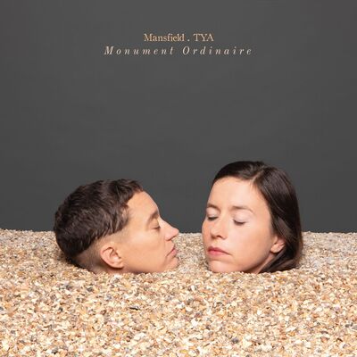 Monument Ordinaire - Mansfield.TYA [VINYL]