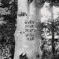 Even Your Drums Will Die: Live at Pendarvis Farm 2011 - Richard Swift [VINYL]