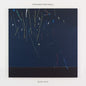 Busy Guy:   - Stephen Fretwell [VINYL]