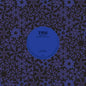 Unravelling After the Lottery/I'm Not Nintendo - Free School [VINYL]