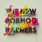 Brill Bruisers - The New Pornographers [VINYL]
