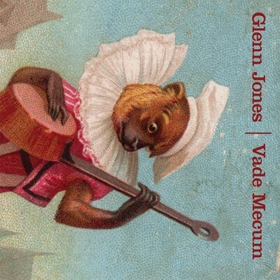 Vade Mecum - Glenn Jones [VINYL]