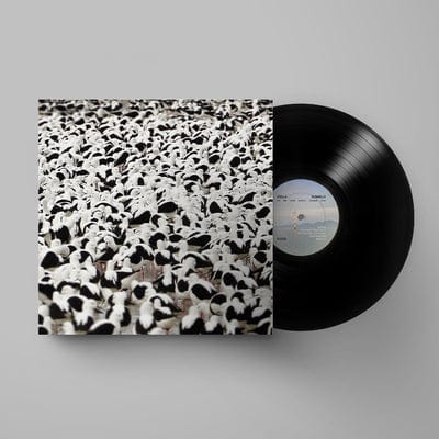 Flood - Stella Donnelly [VINYL]