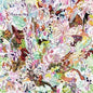 Earthly Delights - Lightning Bolt [VINYL Limited Edition]