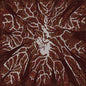 Crown Shyness - Trash Boat [VINYL]