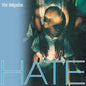 Hate - The Delgados [VINYL]
