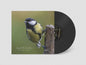 Spectral Evolution - Rafael Toral [VINYL]