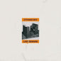 Love Remains - Strange Boy [VINYL]