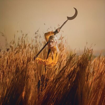 Crying the Neck - Patrick Wolf [VINYL]