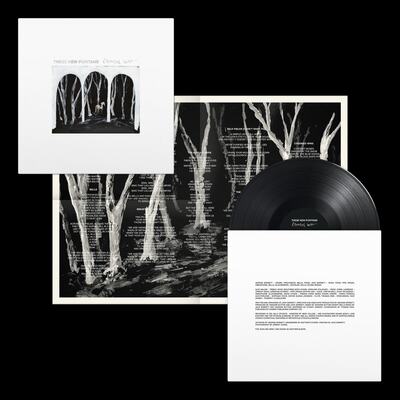 Crooked Wing - These New Puritans [VINYL]