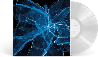 Shards - BlankFor.ms, Jason Moran, Marcus Gilmore [VINYL]