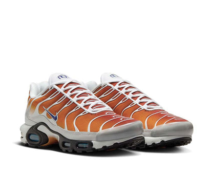 Nike Air Max Plus One Black Down "Reverse"