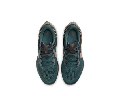 Nike Air Zoom Pegasus 41 SP