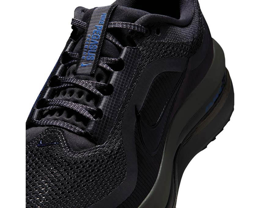 Nike Pegasus Premium "Anthracite"
