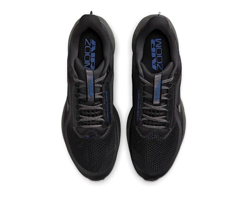 Nike Pegasus Premium "Anthracite"
