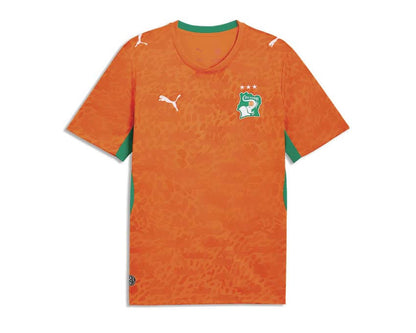 Puma FIF Home Jersey Replica