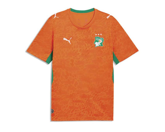 Puma FIF Home Jersey Replica