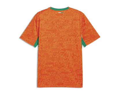 Puma FIF Home Jersey Replica