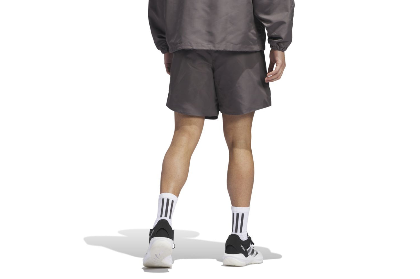 Anted Short